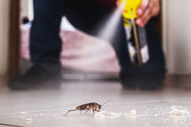 Professional Pest Control in Fredonia, WI